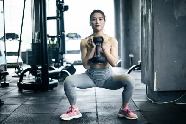 Dumbbell squat